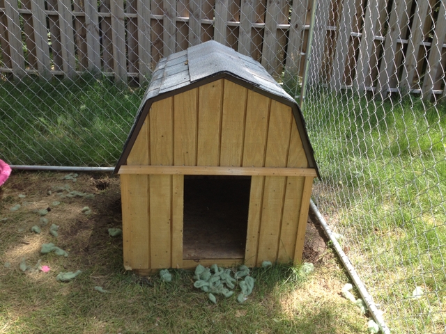 Large Treated wood Dog house with shingles for roofing - Nex-Tech ...